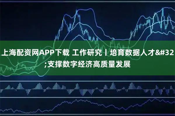 上海配资网APP下载 工作研究丨培育数据人才 支撑数字经济高质量发展